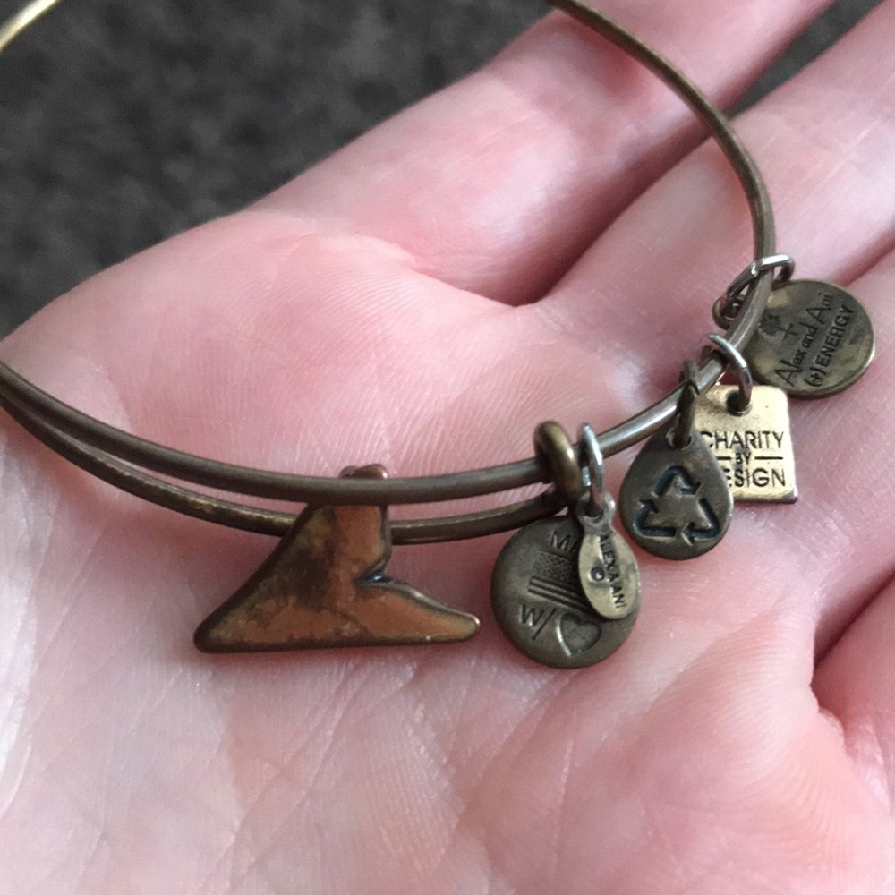 Alex and Ani shark fin bracelet